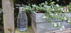 Beschriftete Glasflasche (Für die Blümchen) am Blumenkasten