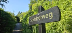 Holzschild Sperberweg